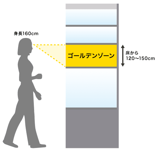 ゴールデンラインの高さ