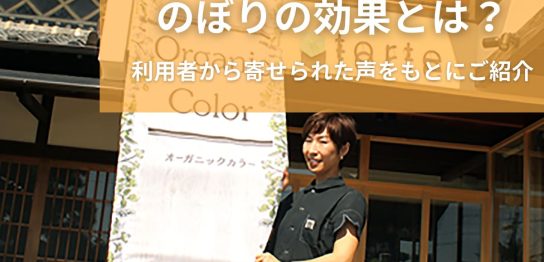 のぼりの効果とは？利用者から寄せられた声をもとにご紹介