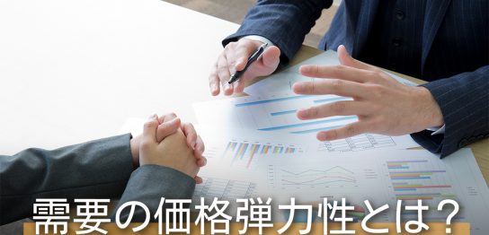 需要の価格弾力性とは？求め方や活用場面を分かりやすく解説